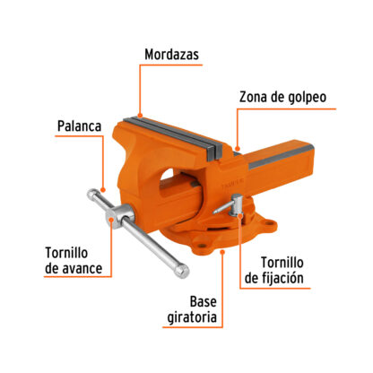Tornillo de banco 8" tipo europeo de hierro nodular TRUPER - Imagen 2